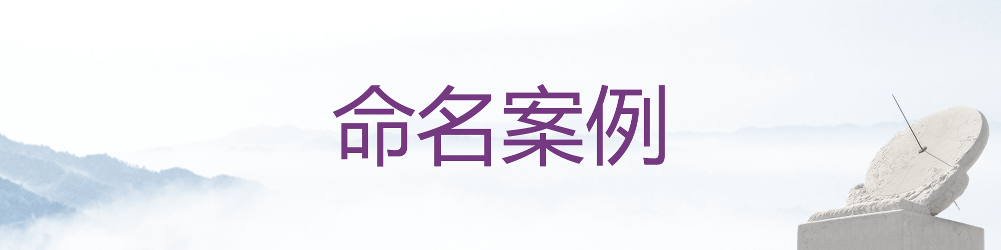 命名案例